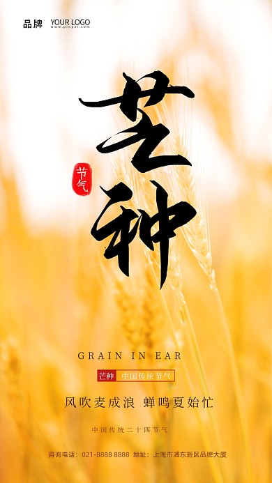 芒种麦穗暖摄影图海报