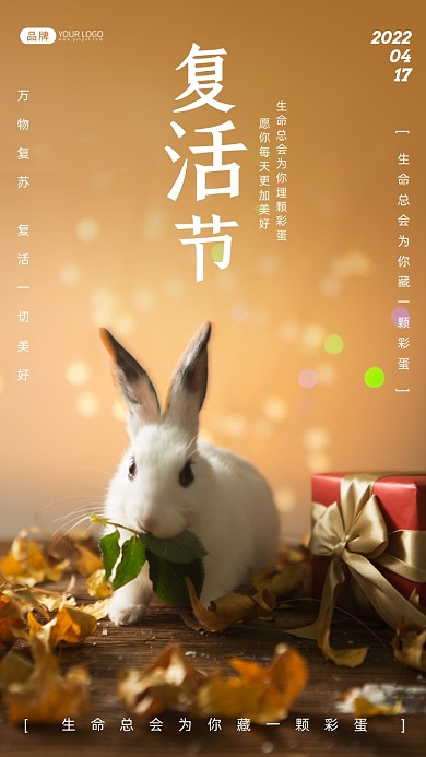 复活节可爱的小兔子摄影图海报