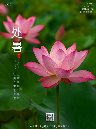 简约处暑摄影图海报