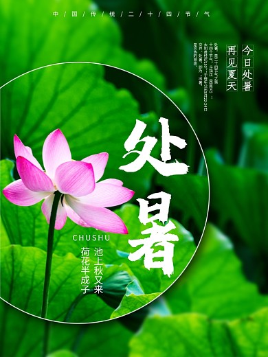 二十四节气处暑荷花池简约海报