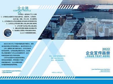 企业简介蓝色商务风三折页公司宣传单简介