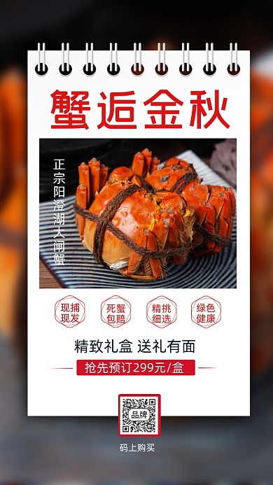 蟹逅金秋大闸蟹海鲜摄影图海报