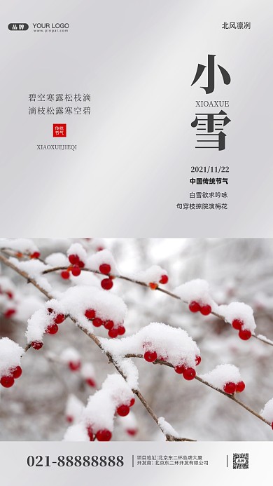 中国传统节气小雪摄影图手机海报