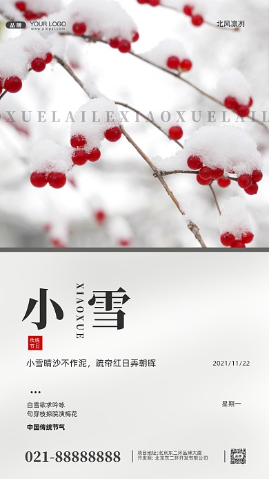 中国传统节气小雪摄影图手机海报
