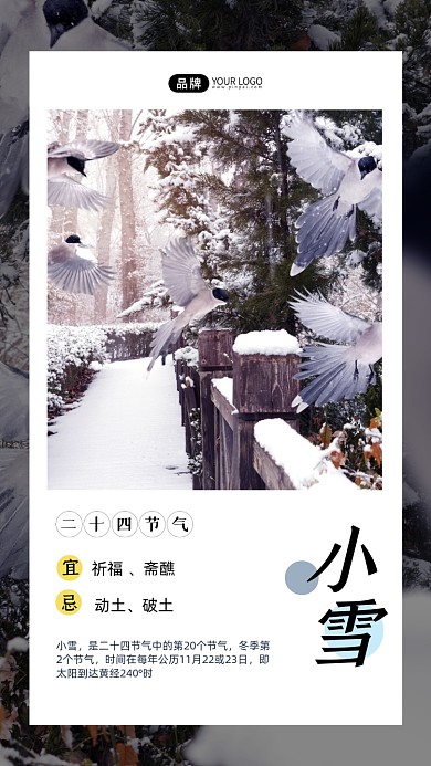 小雪节气雪中飞舞的灰喜鹊摄影图海报