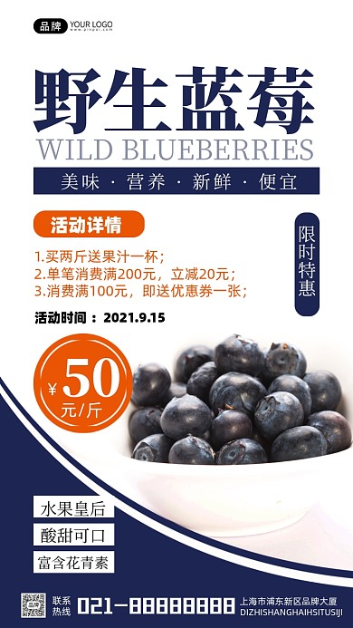 野生蓝莓限时特惠宣传活动摄影图海报