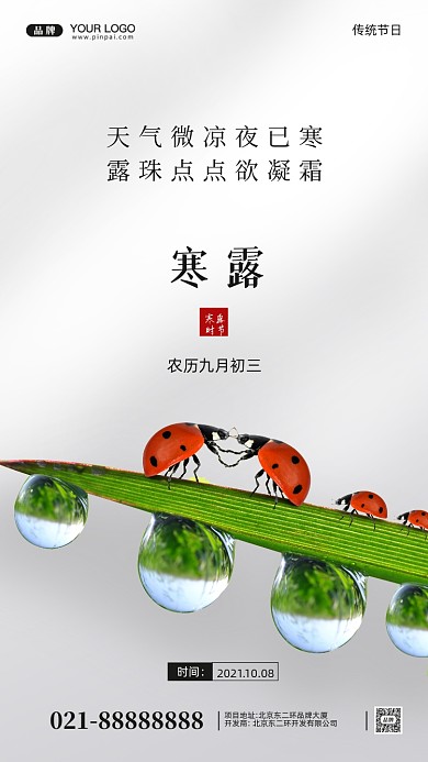 中国传统节气寒露摄影图手机海报