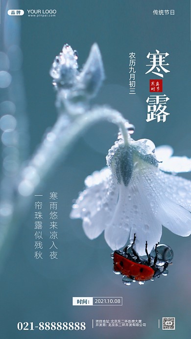 中国传统节气寒露摄影图手机海报