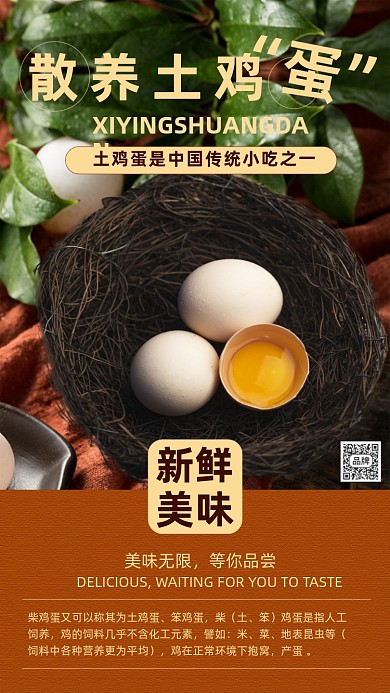 散养土鸡蛋手机海报