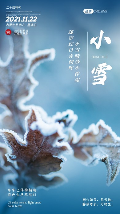 今日小雪24节气摄影图海报海报