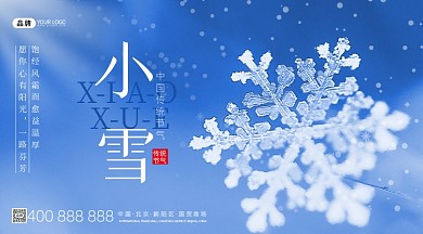 小雪节气梅花摄影图海报