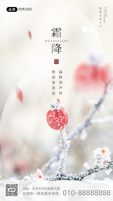 二十四节气霜降果子摄影图海报