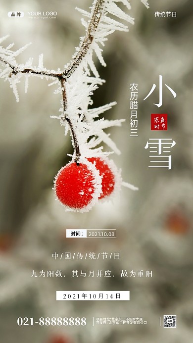 中国传统节气小雪摄影图手机海报
