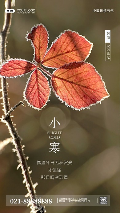 中国传统节气小寒摄影图手机海报