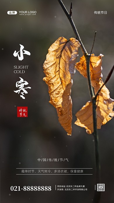 中国传统节气小寒摄影图手机海报