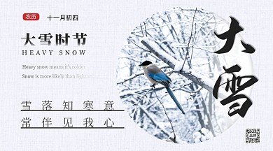 大雪节气雪天树枝鸟摄影图海报