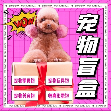 宠物盲盒狗狗礼物盒子网格摄影图海报