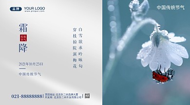 中国传统节气霜降摄影图手机横图海报