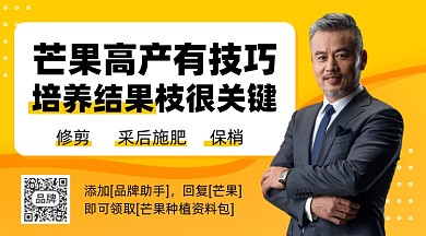 芒果培育直播讲解黄色摄影图海报