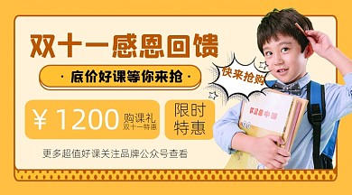 双十一课程促销宣传摄影图海报