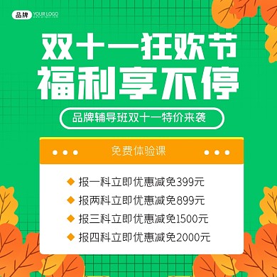 双十一狂欢节辅导班营销海报