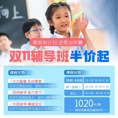 双11辅导班半价起营销海报