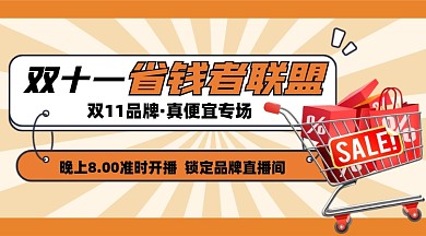 双十一省钱攻略直播摄影图海报