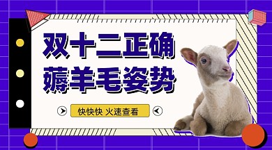 双十二购物薅羊毛攻略摄影图海报