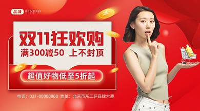 双11狂欢购促销活动摄影图海报