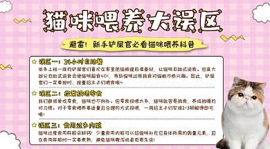 猫咪喂养误区横图海报