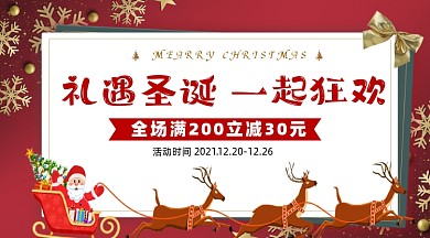 礼遇圣诞节狂欢活动促销摄影图海报