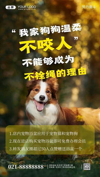 可爱萌宠活动促销摄影图手机海报