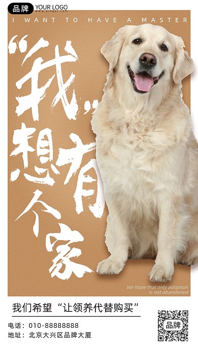 宠物领养公益宣传狗狗摄影图海报