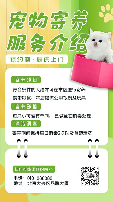 宠物寄养服务猫咪摄影图海报