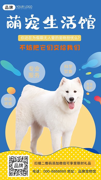 宠物生活馆摄影图海报