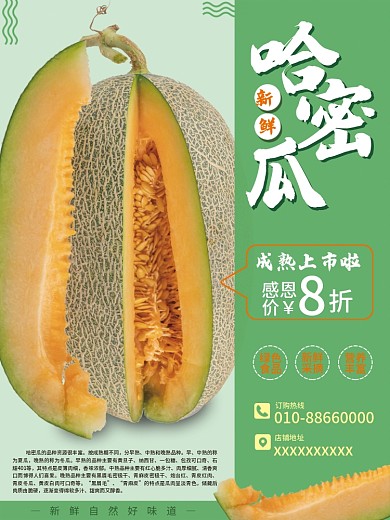 水果哈密瓜海报设计