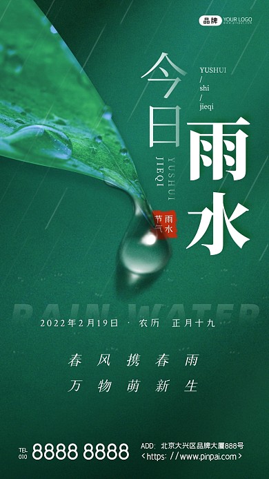雨水节气叶子水滴摄影图海报