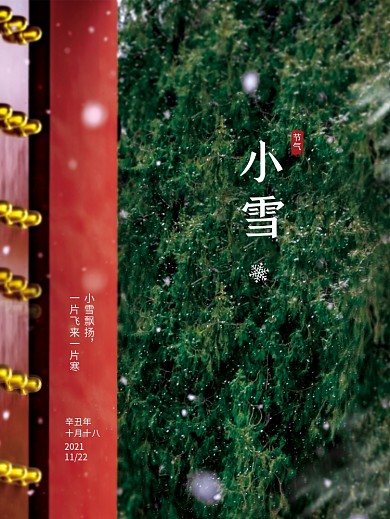 小雪故宫红墙雪景二十四节气