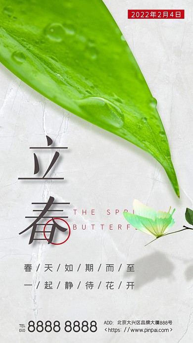 立春节气绿色叶子水珠蝴蝶摄影图海报