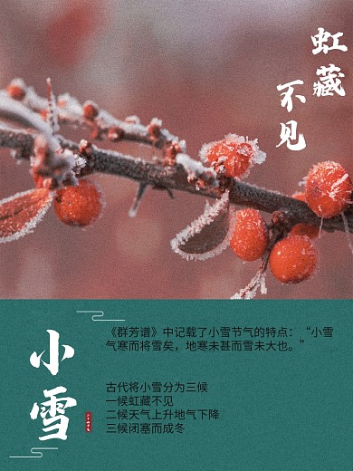 中国传统节气小雪创意海报