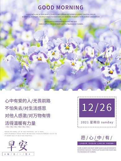 早安海报浪漫清新花海配图正能量语录日签