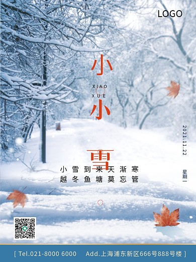 冬天大雪小雪冬至下雪雪花二十四节气海报
