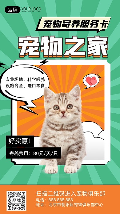 宠物服务摄影图海报