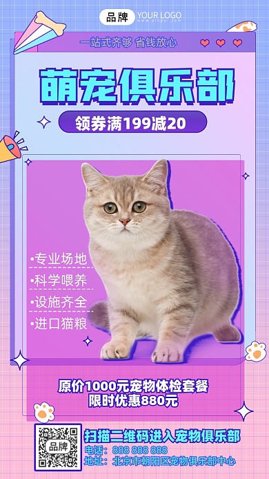 宠物服务摄影图海报