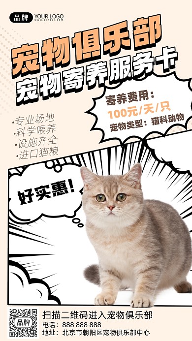 宠物服务摄影图海报