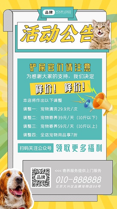 宠物店活动公告狗狗猫咪摄影图海报