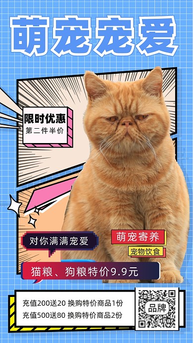 宠物寄养摄影图海报