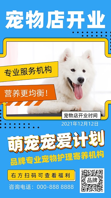 宠物店开业摄影图海报