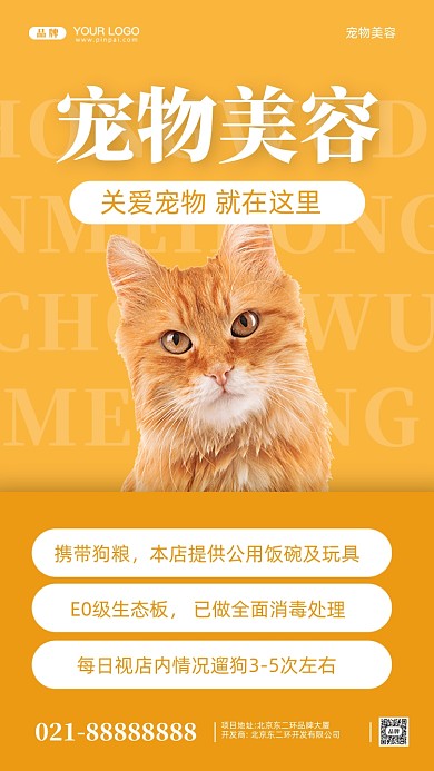 关爱宠物摄影图手机海报