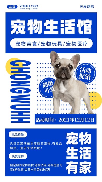 关爱宠物摄影图手机海报